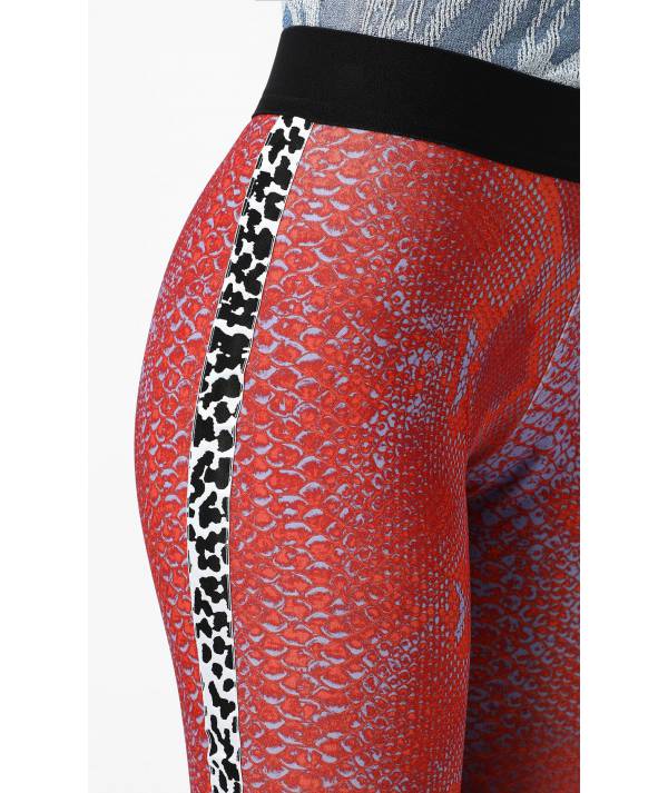 LEGGINGS JC SNAKE MULTICOLOR