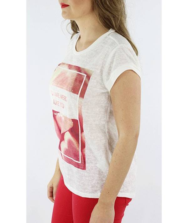 CAMISETA NUREMBERG TIFFOSI