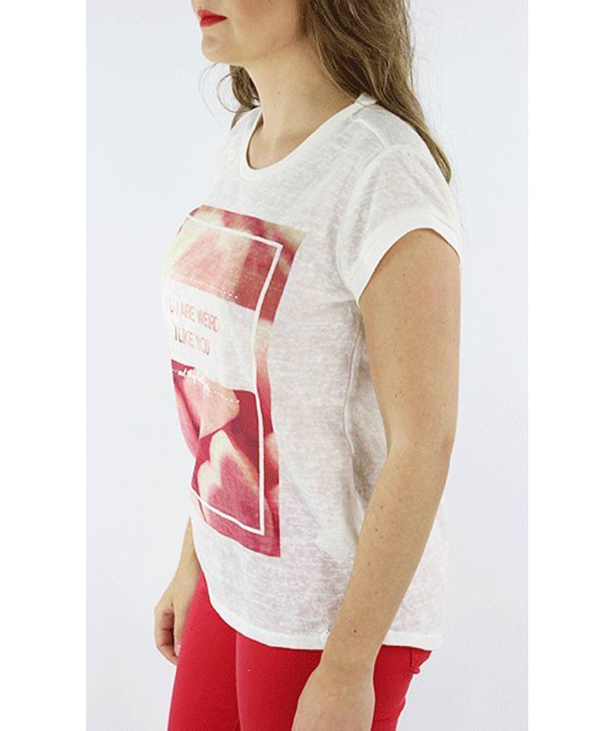 CAMISETA NUREMBERG TIFFOSI