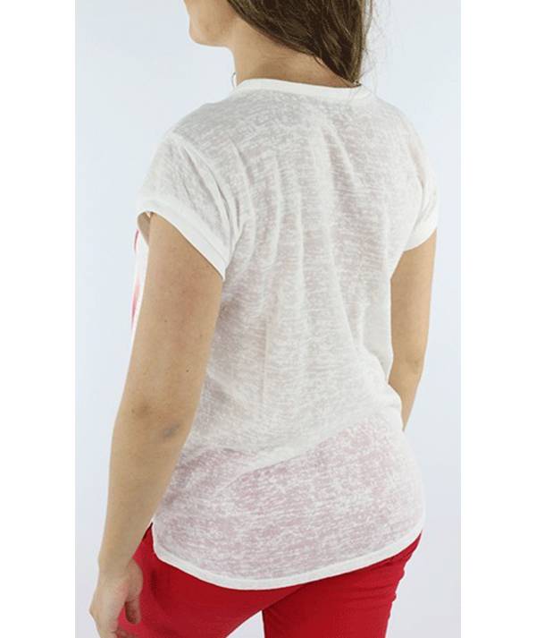 CAMISETA NUREMBERG TIFFOSI