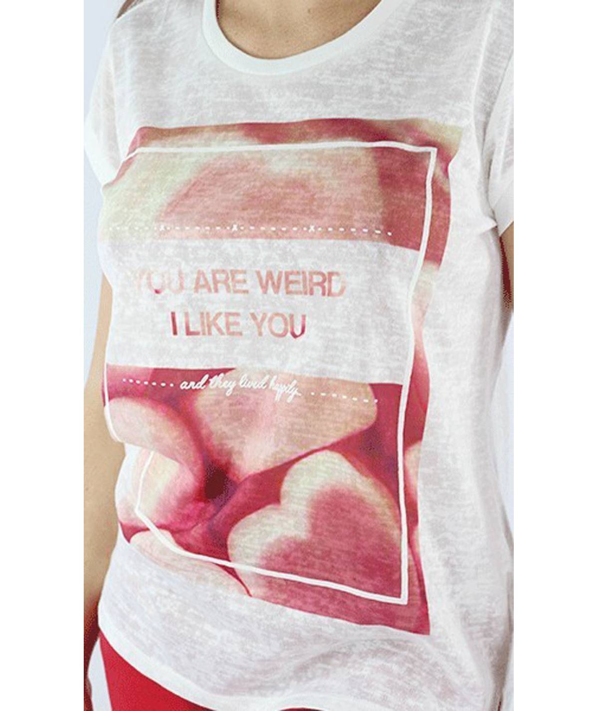 CAMISETA NUREMBERG TIFFOSI