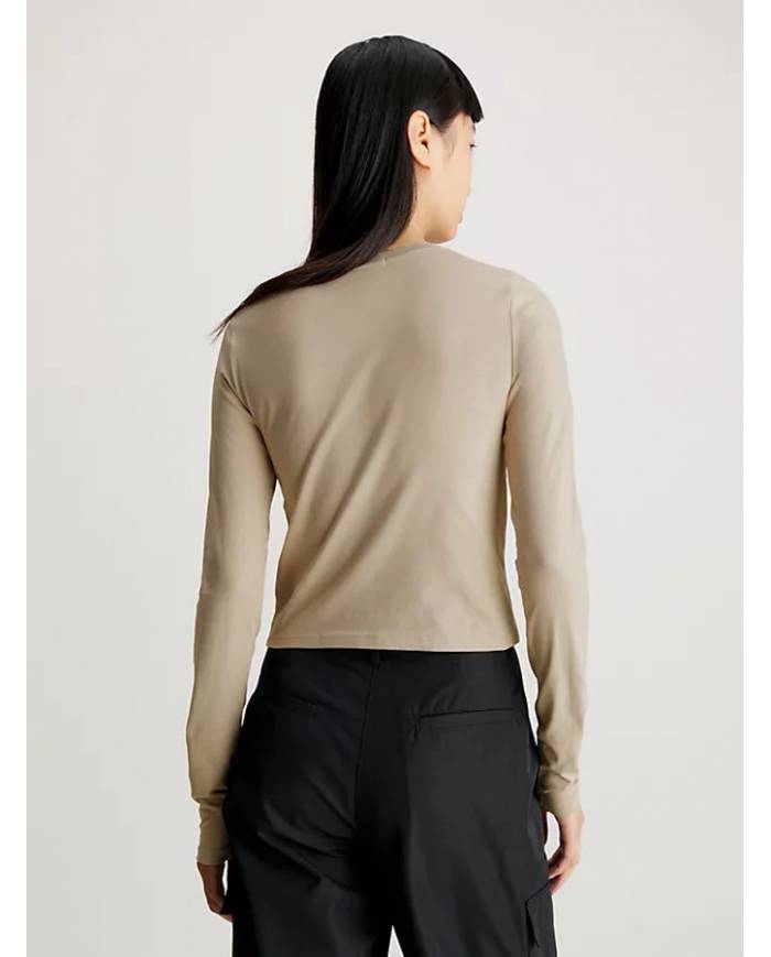 Camiseta Calvin Klein seasonal monologo