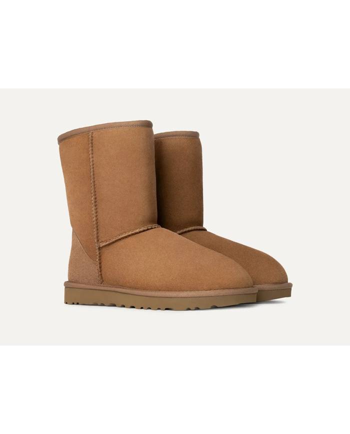 Bota UGG Classic short II
