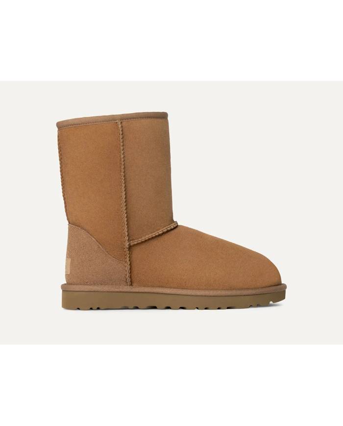 Bota UGG Classic short II