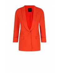 Blazer Guess birgit
